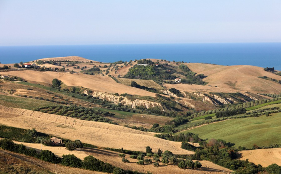 A guide to picking olives on your Italian property