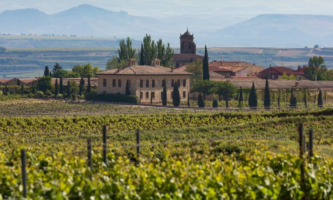 Home hunting in Spain’s most beautiful wine regions