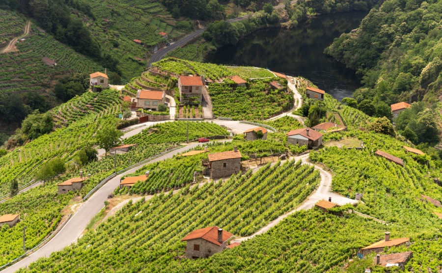 The Miño River flowing through the vineyards of Ribeira Sacra in Galicia